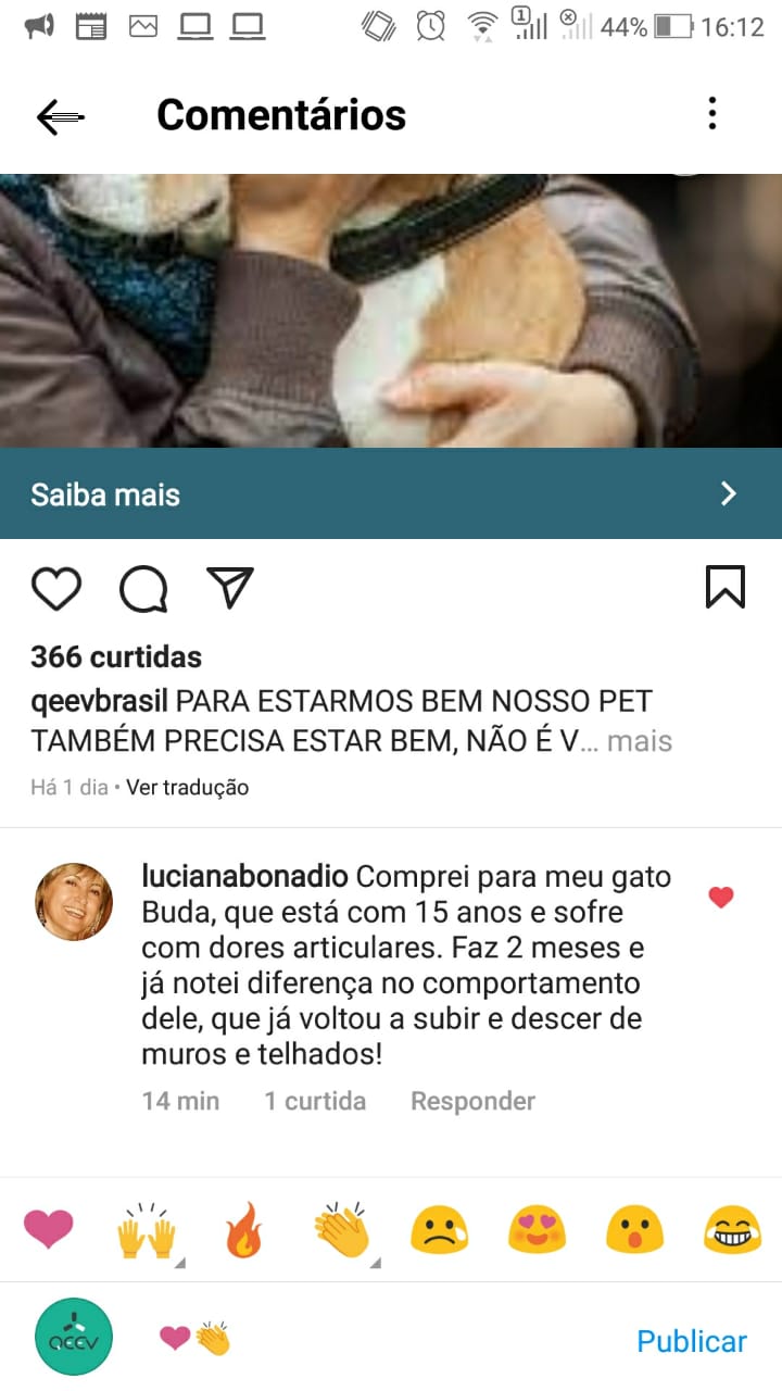 Cao Depimento Luciana Banadlo