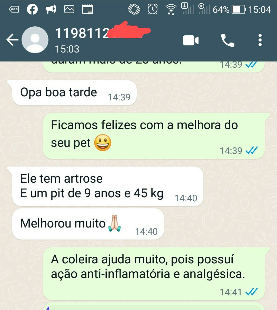 Cao Depoimento zap 1