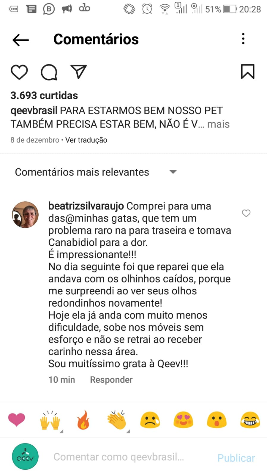 Gato Depoimento Beatriz 2